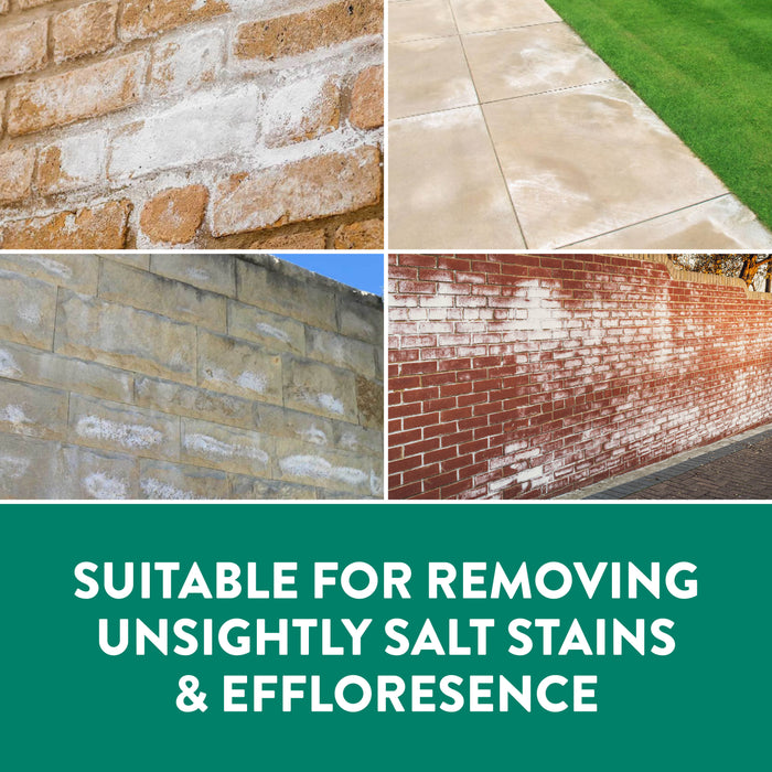 Salt Stain & Efflorescence Remover | GLEAN